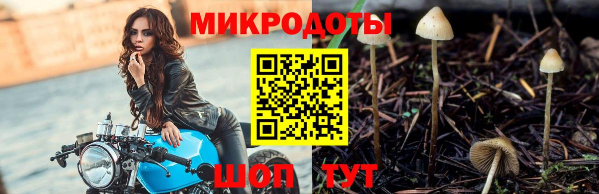 Галлюциногенные грибы GOLDEN TEACHER  Вход с VPN  Чернушка  Псилоцибиновые грибы Psilocybine cubensis 